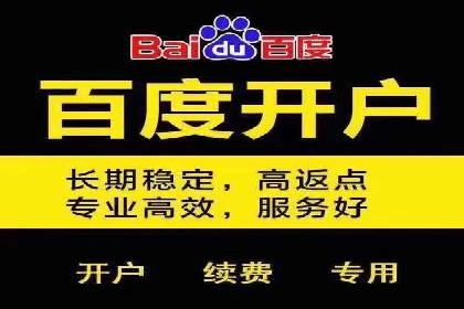 竞价广告的胜利者：某公司如何借助竞价推广公司实现业绩突破